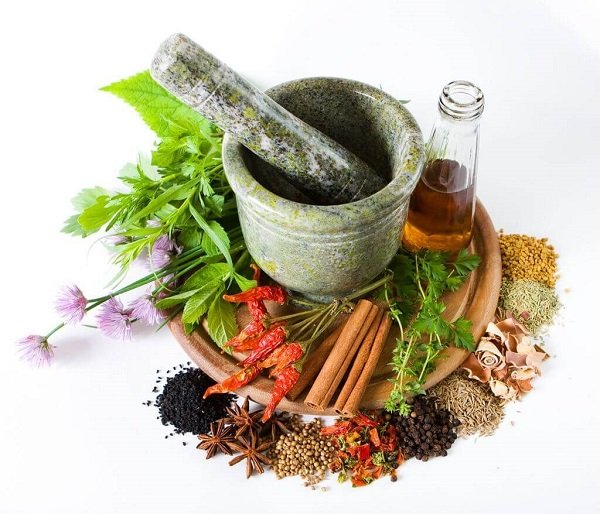thuoc nam medecine traditionnelle vietnamienne