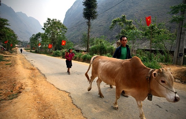 Vietnam du nord et du sud