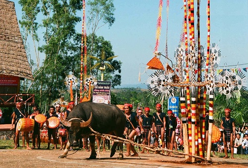 la-fete-de-poignardage-de-buffles