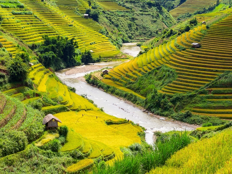À Sapa, les montagnes brumeuses et les villages ethniques révèlent des traditions ancestrales authentiques