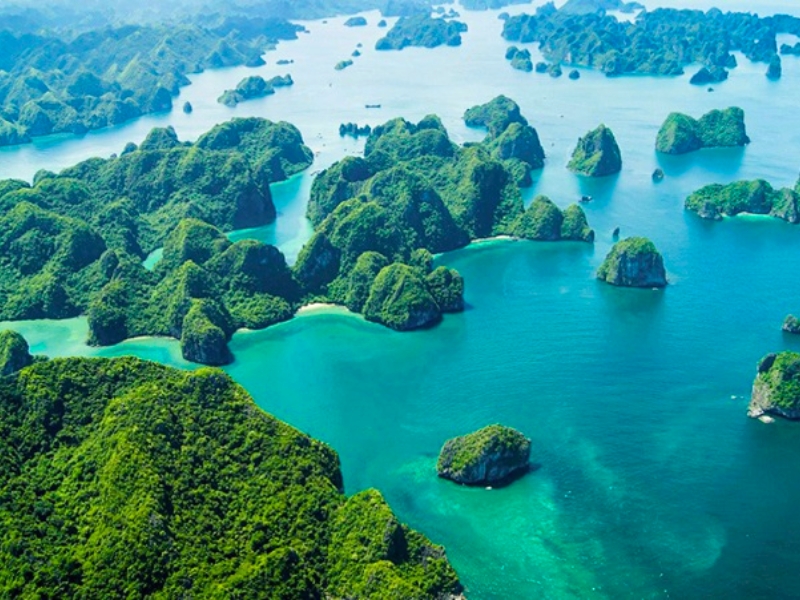 Un voyage en août à la baie Bai Tu Long est idéal pour découvrir la beauté tranquille du Vietnam, à l'écart des foules